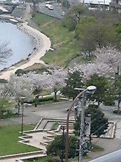 110407_1316~03.jpg