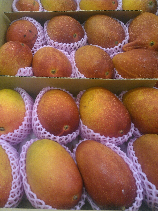 IMAG0146.jpg