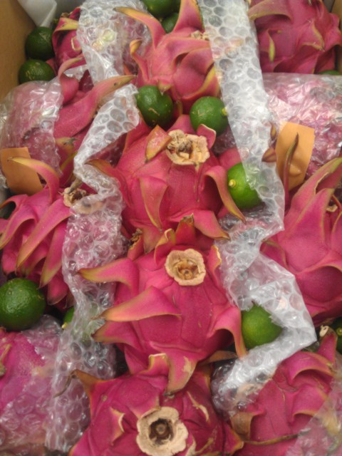 IMAG0253.jpg