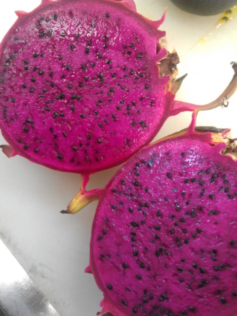 IMAG0256.jpg