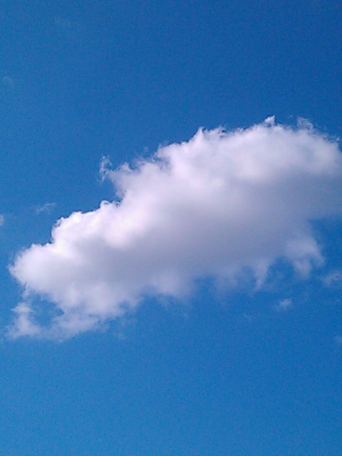 IMAG0472.jpg