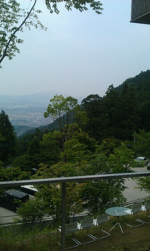 IMAG0795.jpg