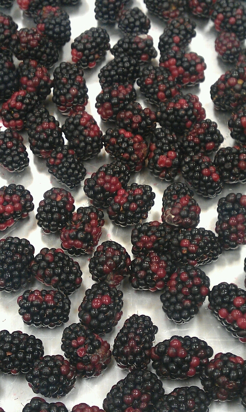 IMAG0881.jpg